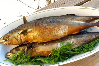 Hot smoked mackerel