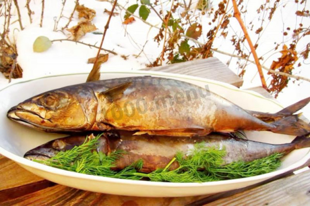 Hot smoked mackerel