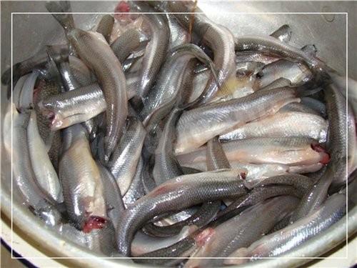 Pickled smelt