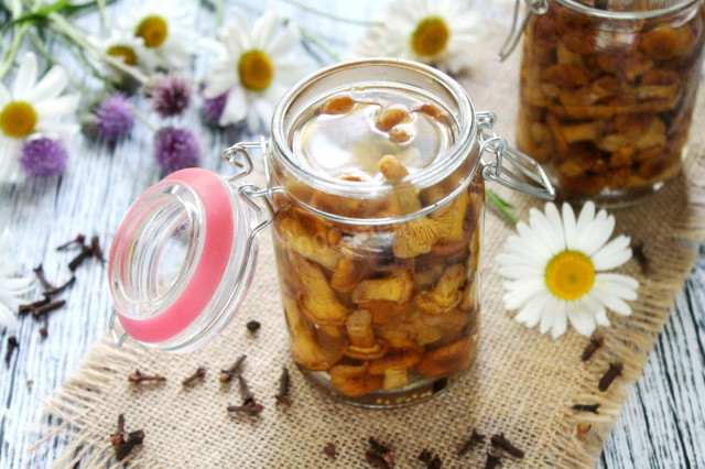 Pickled chanterelles for winter