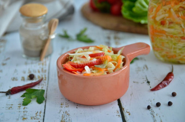 Pickled cabbage with bell pepper and coriander quickly