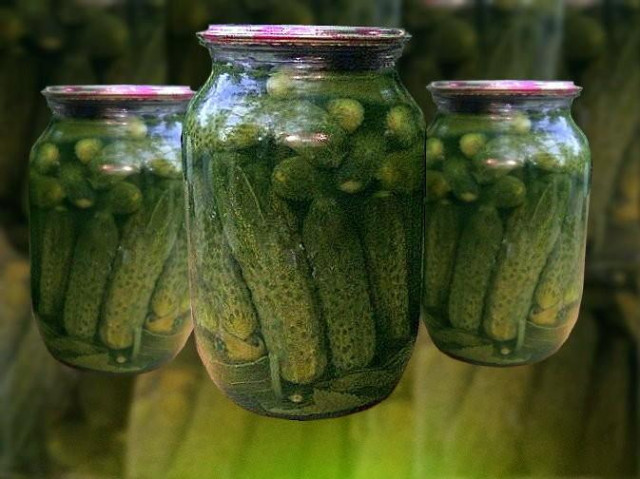 Bulgarian pickled cucumbers with onions for winter