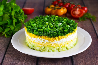 Salad of fresh cucumbers and cheese