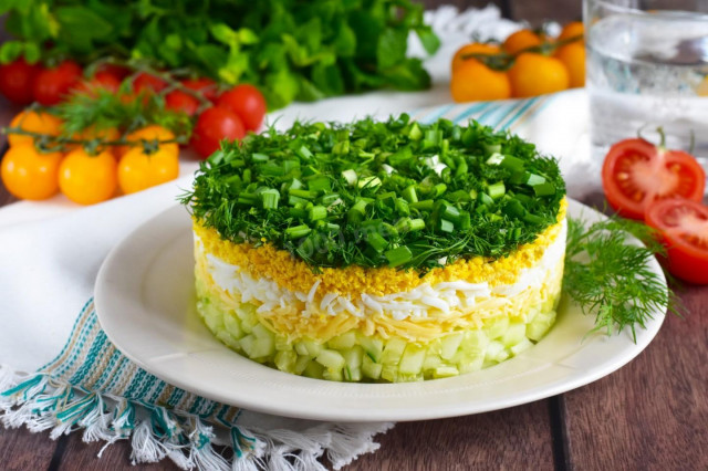 Salad of fresh cucumbers and cheese