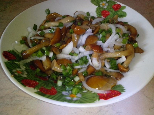 Quick pickled honey mushrooms