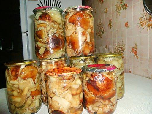 Pickled sandstone mushrooms