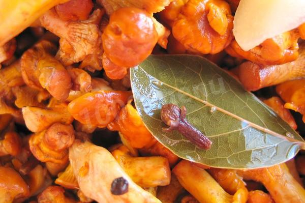 Pickled chanterelles in wine vinegar