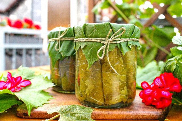 Grape leaves for dolma for winter