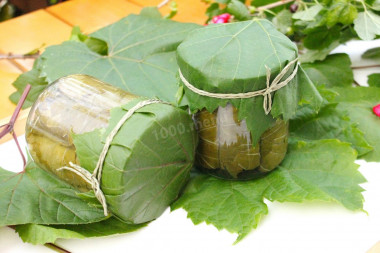 Grape leaves for dolma for winter