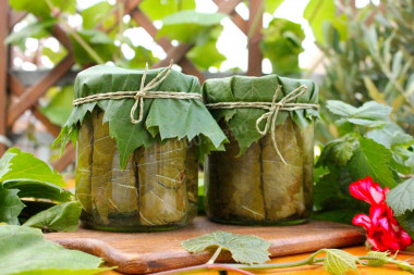 Grape leaves for dolma for winter