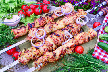 Grilled chicken fillet kebab