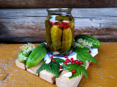 Cucumbers with red currants for winter