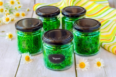 Fresh dill for winter in jars