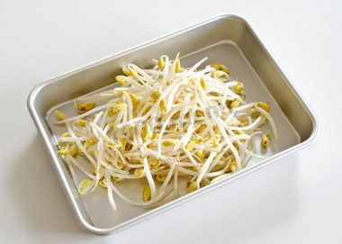 Bean sprouts