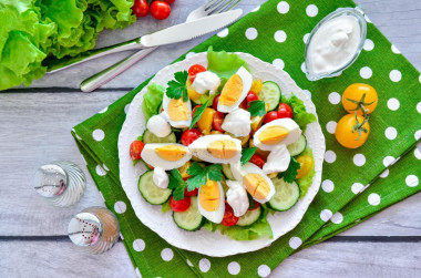 Cucumber tomato egg salad