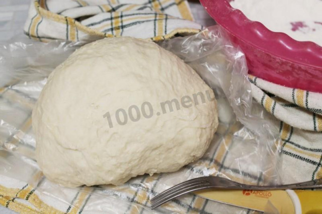 Dough for dumplings on mineral water