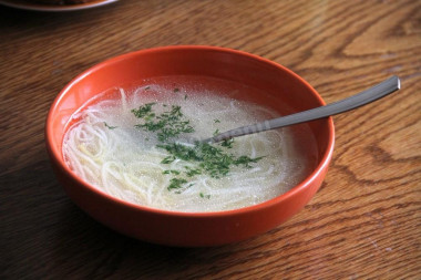 German chicken noodle soup - nudelsup