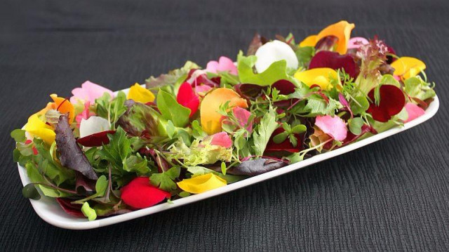 Primrose salad