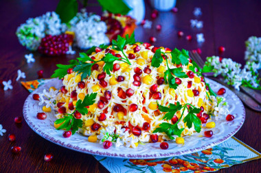 Salad with pomegranate and chicken and nuts