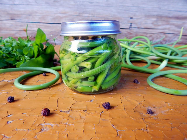 Garlic pickled for winter