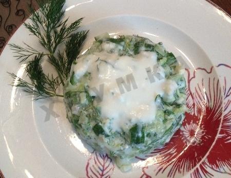 Fresh cucumber salad with matzoni