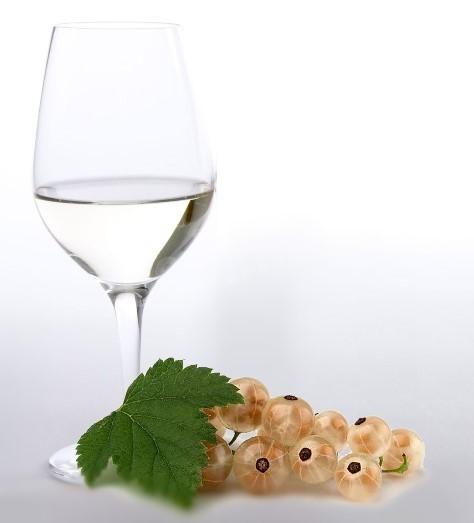 Homemade white currant wine