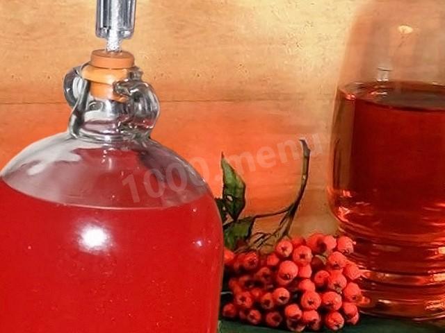 Homemade red mountain ash wine