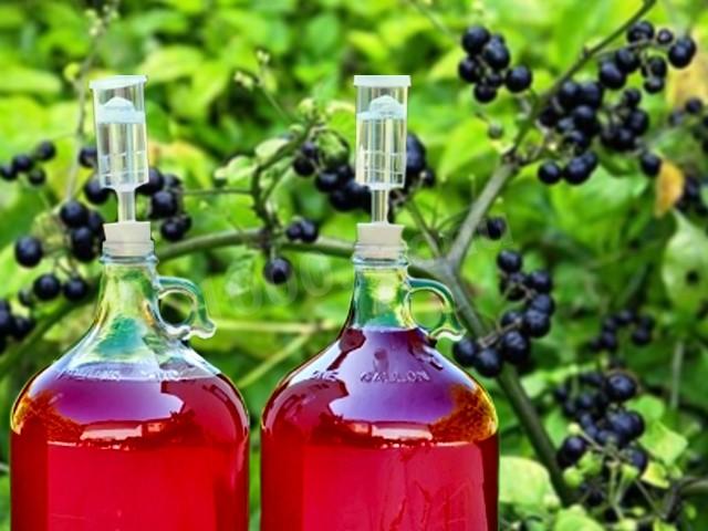 Homemade sunberry wine