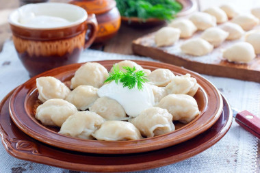 Homemade dumplings in a dumpling bowl