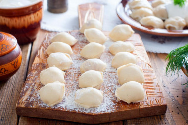 Homemade dumplings in a dumpling bowl