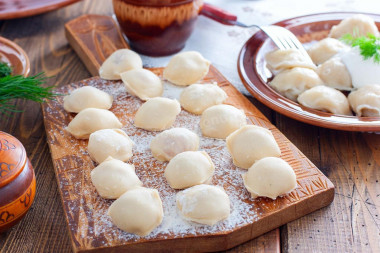 Homemade dumplings in a dumpling bowl