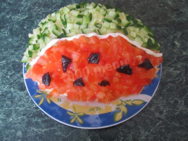 Watermelon slice salad with chicken