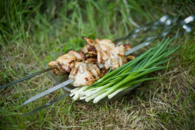 Chicken shish kebab on beer with milk