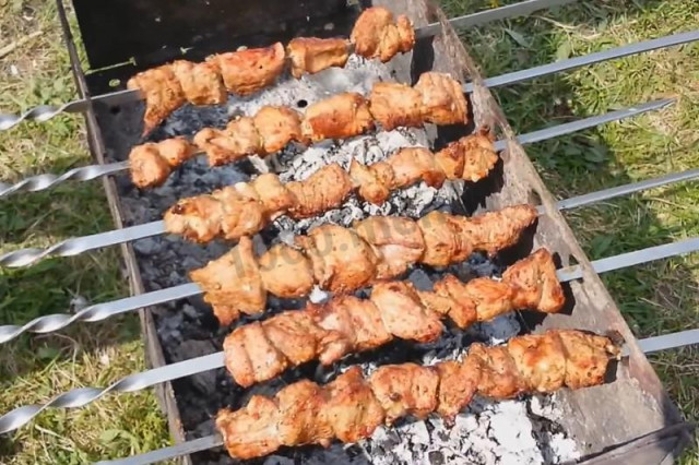 Veal shish kebab on sparkling water