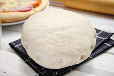 Fluffy yeast pizza dough