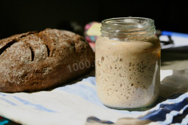 Sourdough bread starter