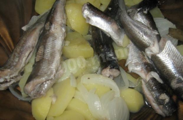 Karelian ryapushka fish