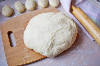 Dough for pies with dry yeast in milk