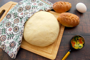 Dough with dry yeast in milk on pies