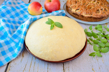 Yeast curd dough with cottage cheese