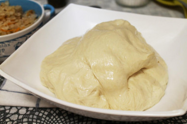 Dough with dry yeast for soft sourdough pies