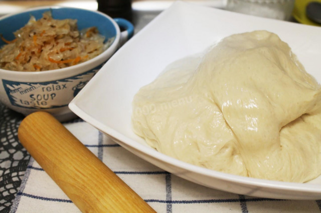 Dough with dry yeast for soft sourdough pies