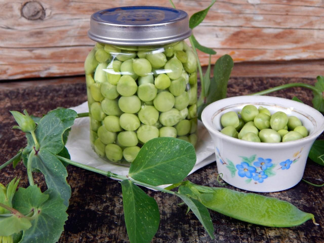 Homemade pickled peas for winter