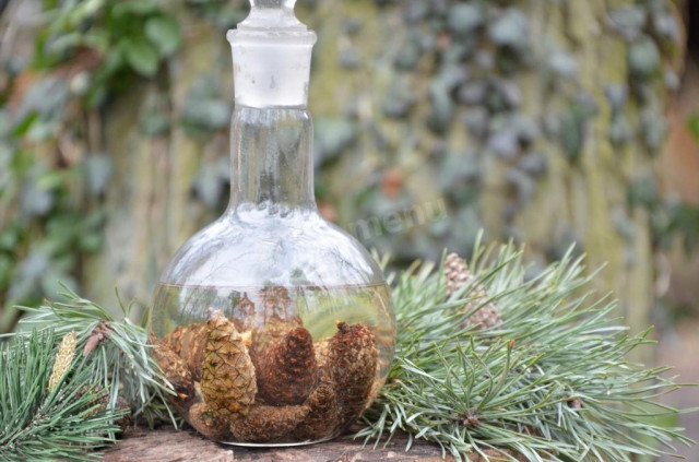 Pine cones on alcohol