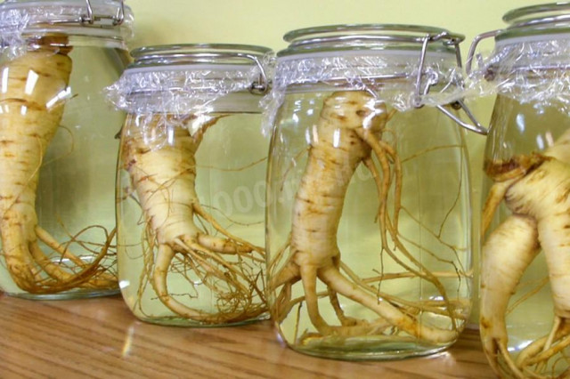 Ginseng moonshine