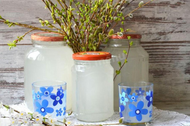 Birch sap kvass with bread