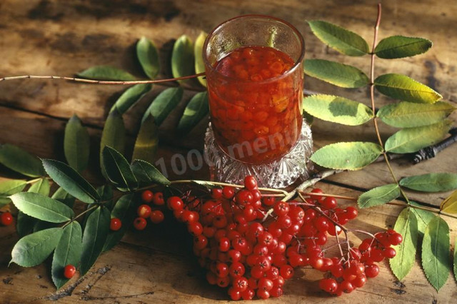 Tincture of red mountain ash