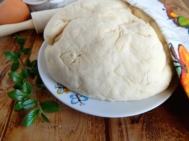 Dough on whey for pies