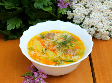 Soup with noodles and stewed meat