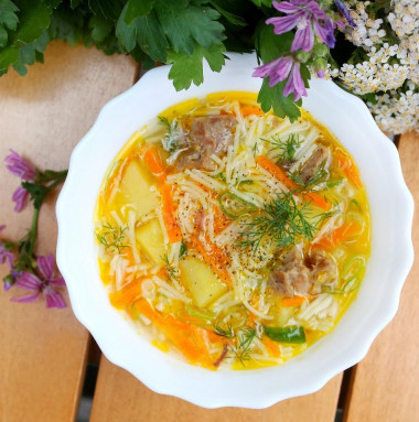 Soup with noodles and stewed meat